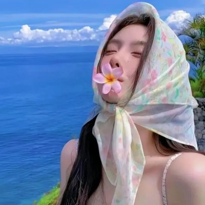 没人瞭波斯猫