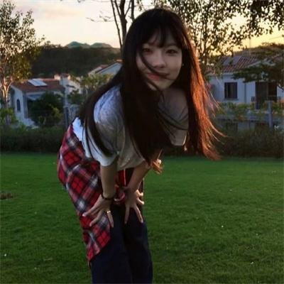 海豚