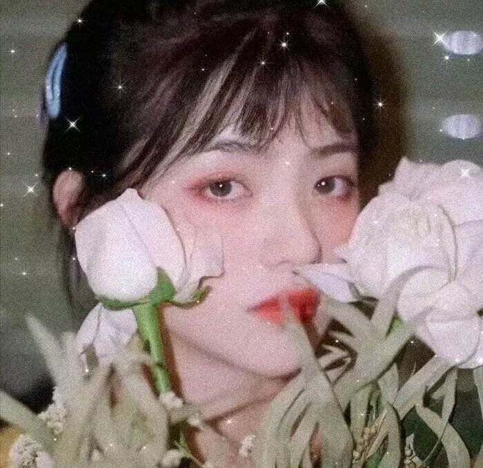 九重锦之庶女有毒